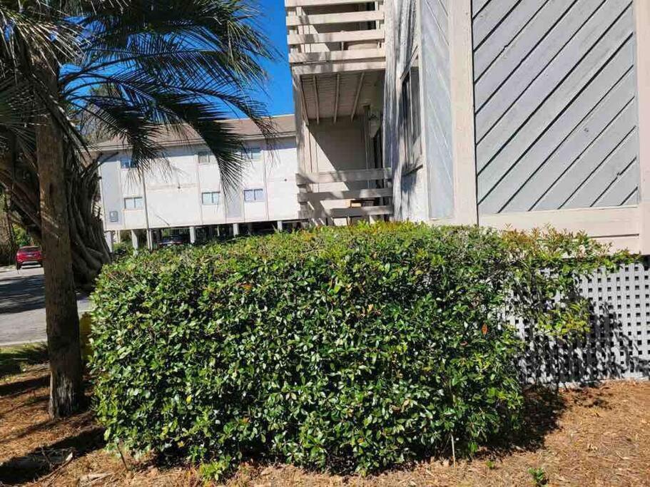 2022 Renovated 2-Bdrm Cozy, Lovely Condo W/Parking! Hilton Head Island Εξωτερικό φωτογραφία
